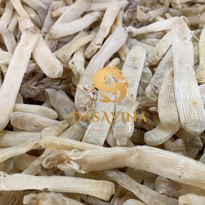 Sá sùng Quảng Ninh loại 1 - DASAVINA