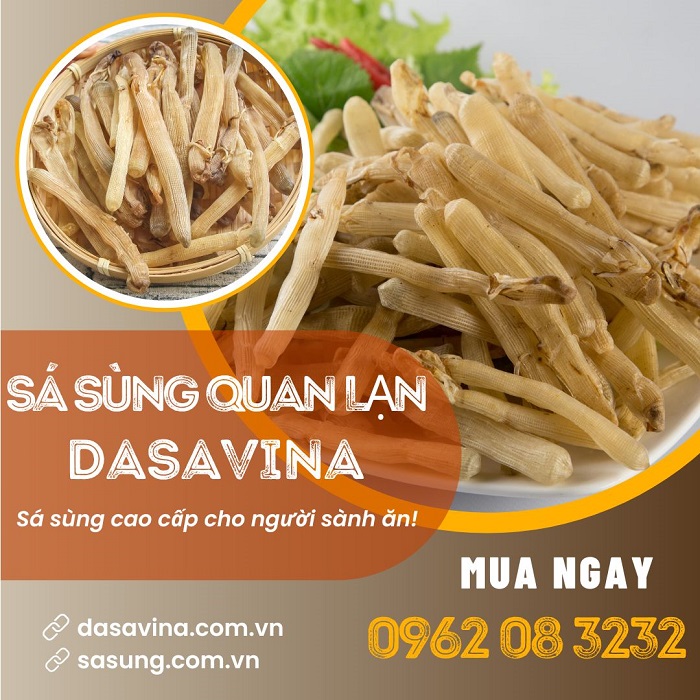 Mua sá sùng ngon ở đâu? 